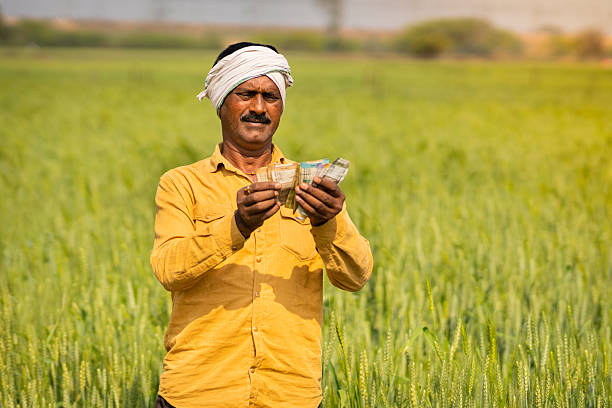 Business Loan in India: Everything You Need to Know Before Borrowing